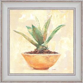 Aloe - painting detail 40 x 40 cm