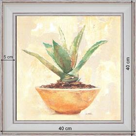 Aloe - dimensions 40 x 40cm - Blanc cassé