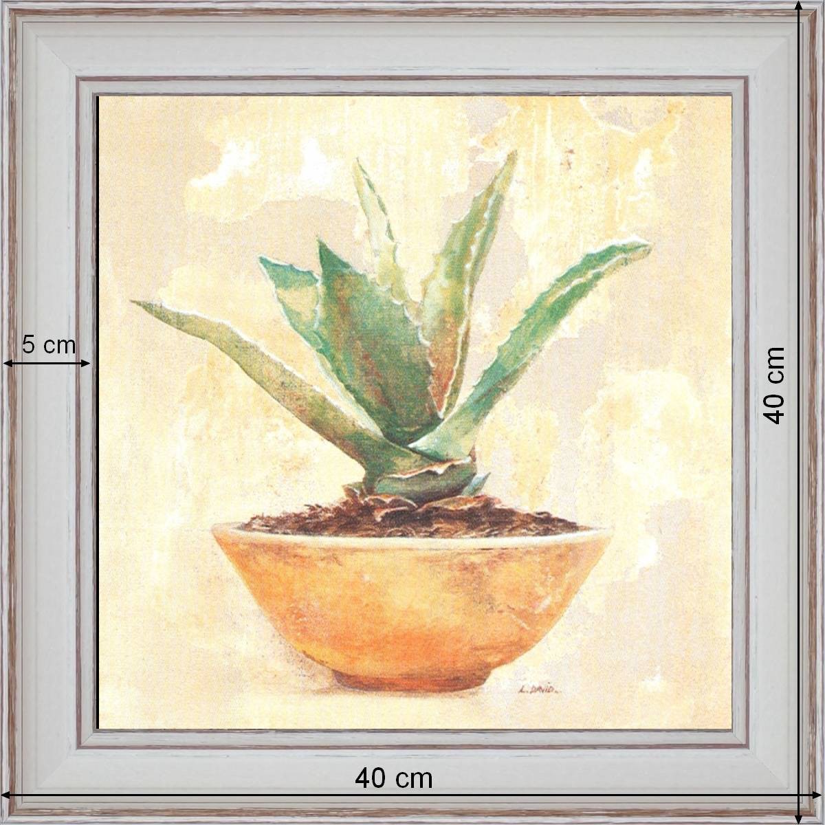 Aloe - dimensions 40 x 40cm - White
