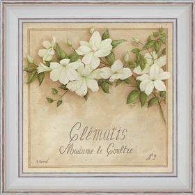 Clématis, Madame de Coultre - détail du tableau 40 x 40 cm