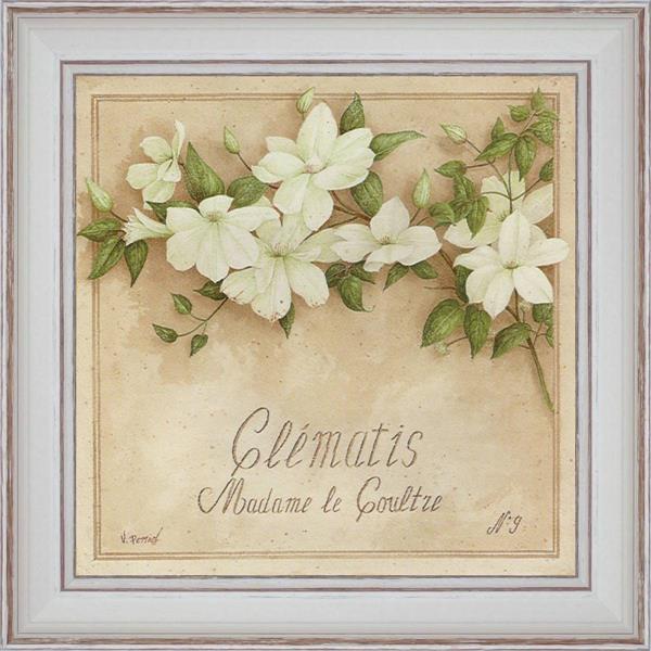 Clématis, Madame de Coultre - détail du tableau 40 x 40 cm