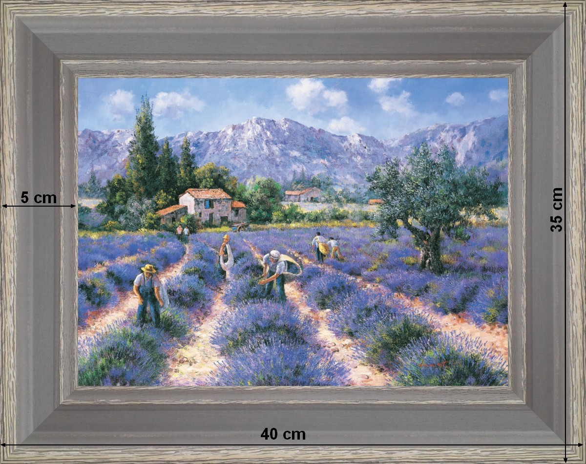 Ramassage de la lavande - paysage 40 x 35 cm Gris