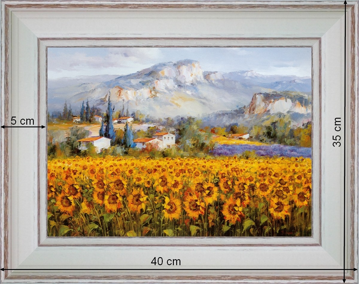 Fields of sunflowers - landscape 40 x 35 cm - Cleared curved 