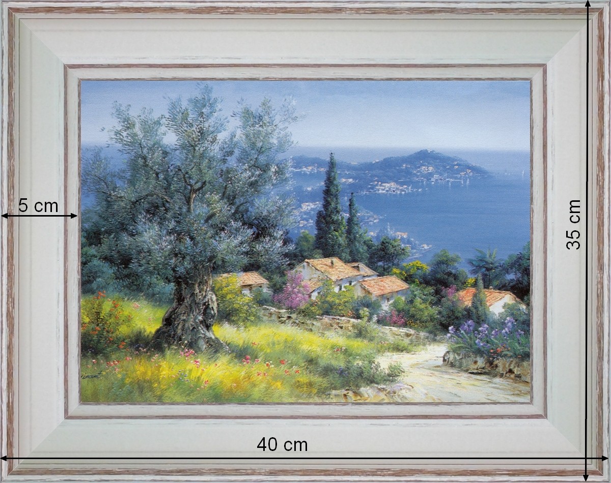 Olivier du Cap Ferrat - paysage 40 x 35 cm - Blanchie incurvée 