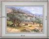 Olive tree field of Provence - landscape 40x 35 cm - Cleared curved 