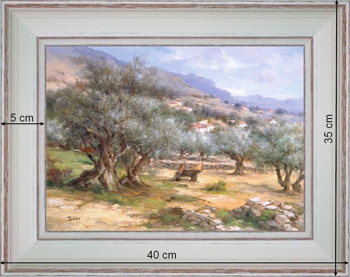 Olive tree field of Provence - landscape 40x 35 cm - Cleared curved 