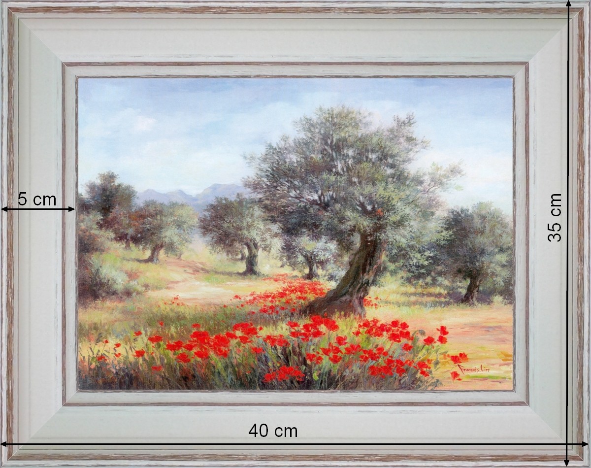 Olive tree Poppies - landscape 40 x 35 cm - Cleared curved 