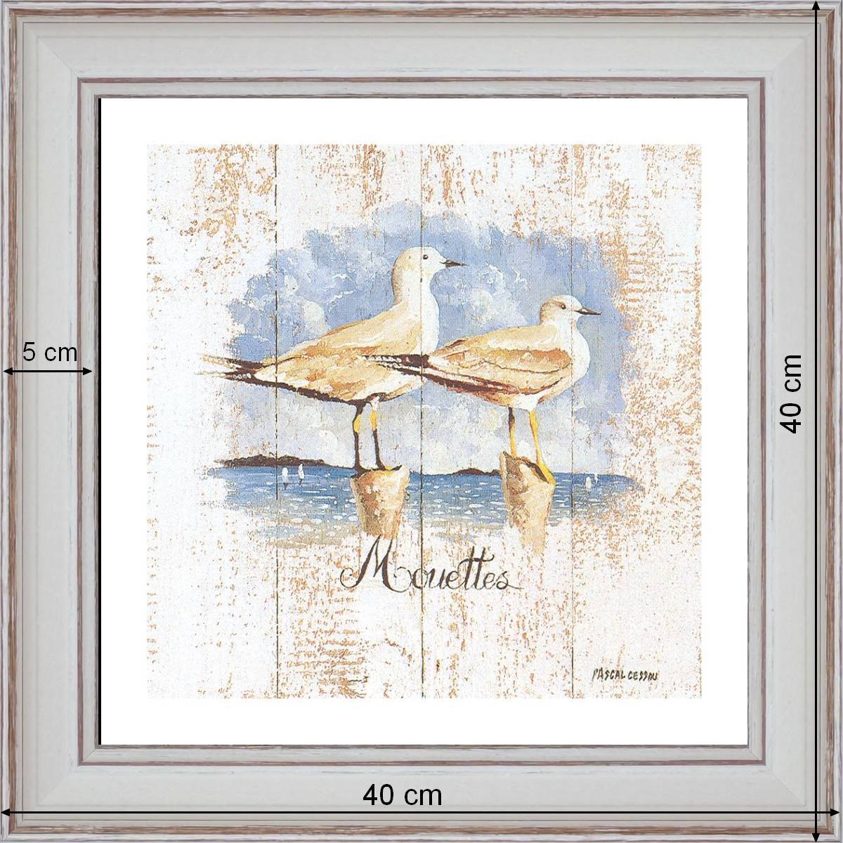 Gulls - dimensions 40 x 40 cm
