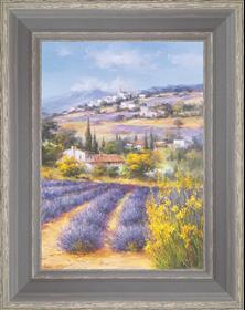 Fields of lavender under the village