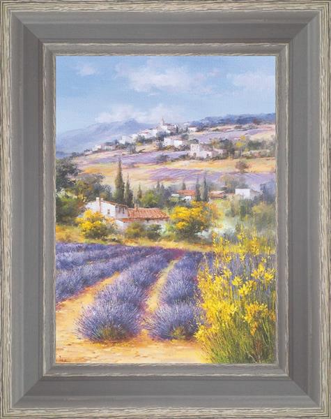 Fields of lavender under the village