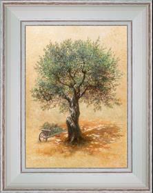 Wheelbarrow and Olive tree