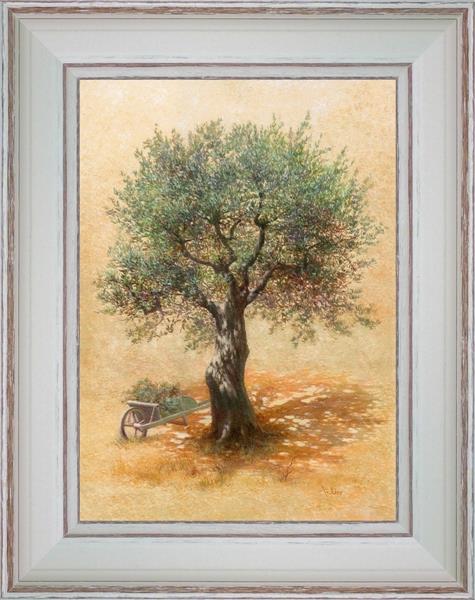Wheelbarrow and Olive tree