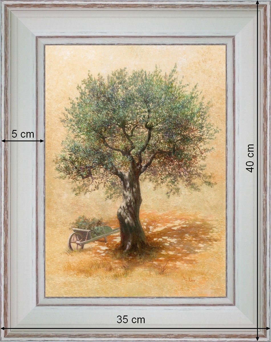 Brouette et Olivier - paysage 40 x 35 cm - Blanchie incurvée 