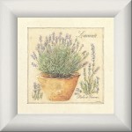 Infusions ou tisanes aux herbes de Provence - saison 1