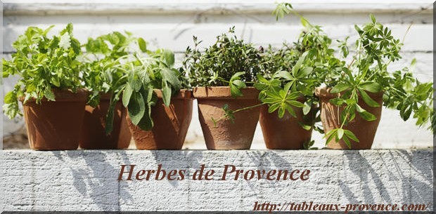 Les Herbes de Provence en cuisine – saison 1