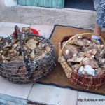 La recette des lactaires à l’huile et au vinaigre.
