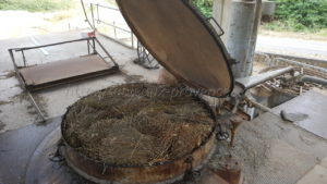 Distillation de lavande à Valensole