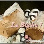 La bûche de noël aux saveurs de la Provence