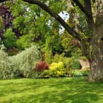 Comment faire de son jardin un havre de paix ?